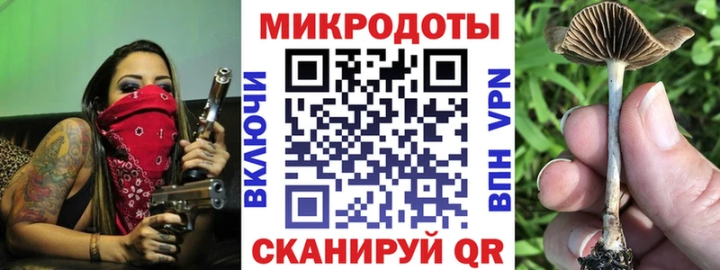 Псилоцибиновые грибы Psilocybe  продажа наркотиков  Пионерский 